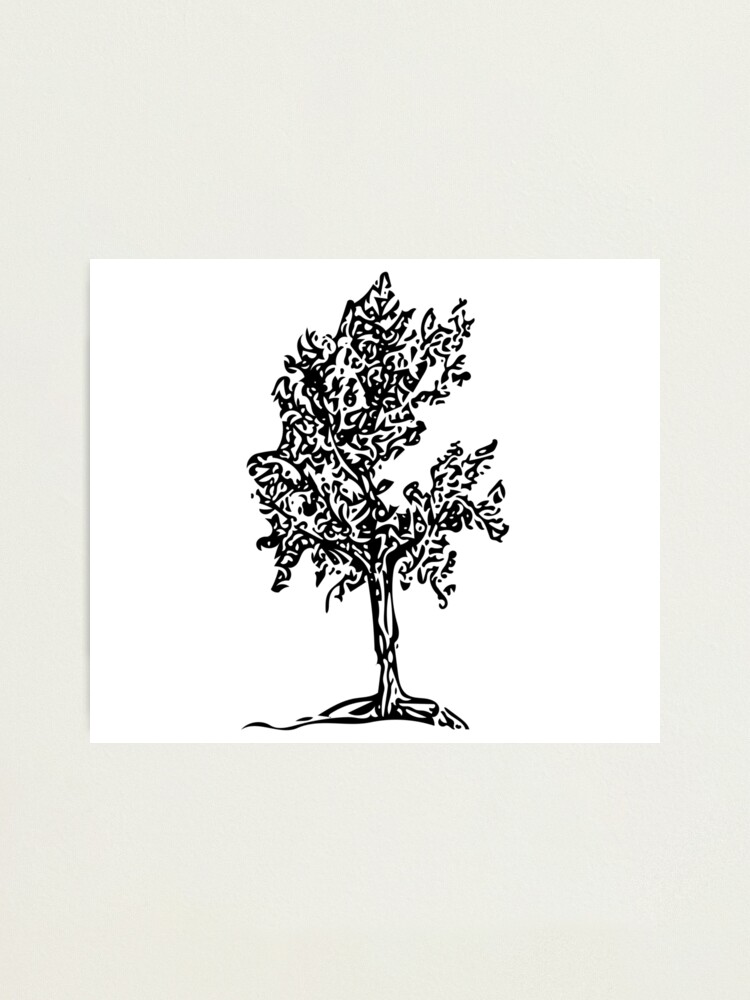 How To Draw Fall Tree - Easy Small Tree Drawings - 680x678 PNG Download -  PNGkit