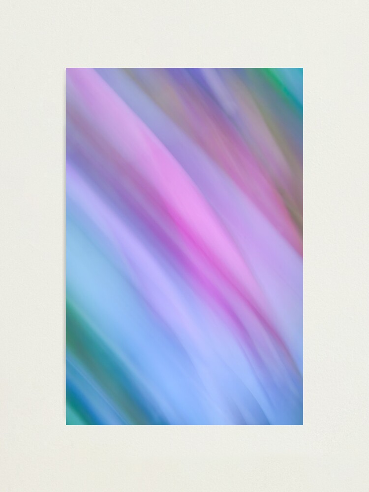 Alternate view of Fuchsia Photographic Print