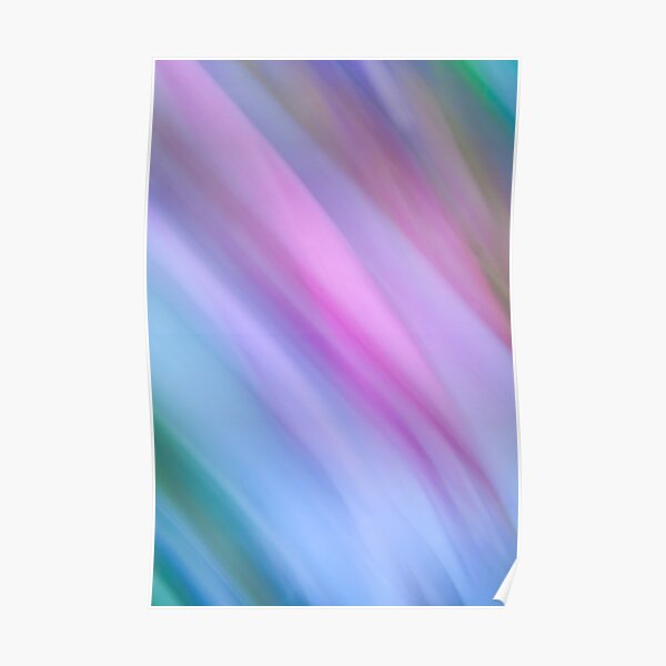 Fuchsia Poster