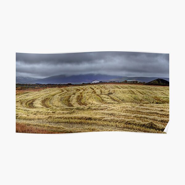 Icelandic Field Poster