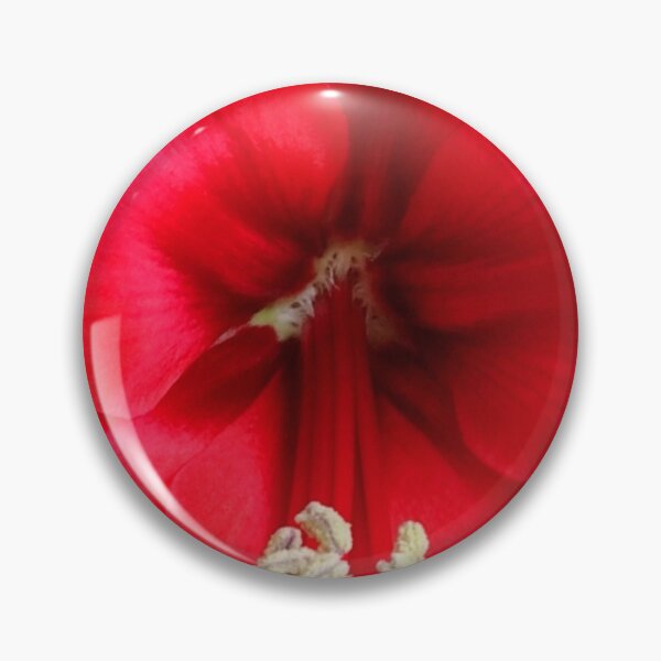 Item preview, Red Amaryllis designed and sold by doodle3Dandy.