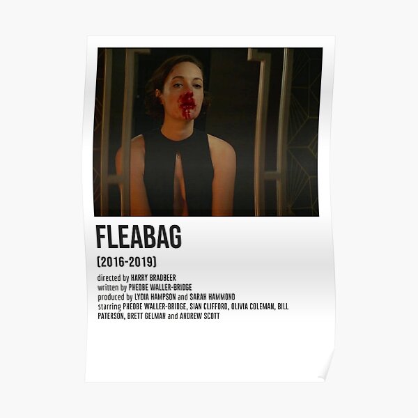 FLEABAG das ist Liebesgeschichte POSTER Poster