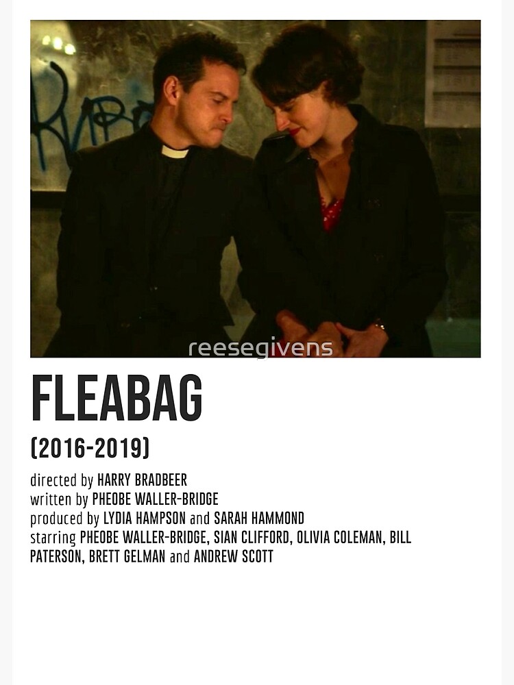 Fleabag It Ll Pass Poster Poster For Sale By Reesegivens Redbubble