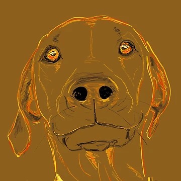 Artwork thumbnail, Separation Anxiety by Krista Wells
