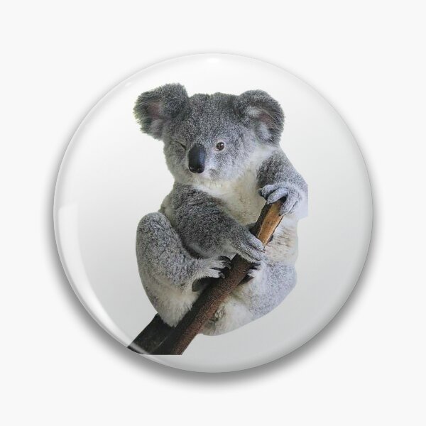 Item preview, coala designed and sold by BENAZCOMPANY.