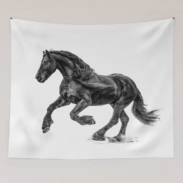 Item preview, Black and White Friesian Horse designed and sold by OryPhotography.