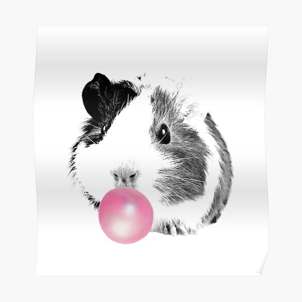 Posters Sur Le Theme Hamster Joyeux Anniversaire Redbubble