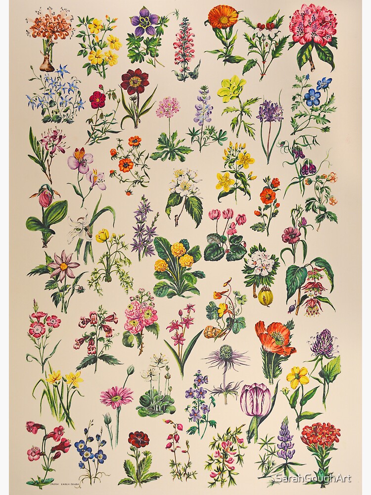 Thumbnail 3 of 3, Sticker, Vintage Botanical Floral Artwork Inspired by the Victorian Botanists and Illustrators designed and sold by SarahGoughArt.