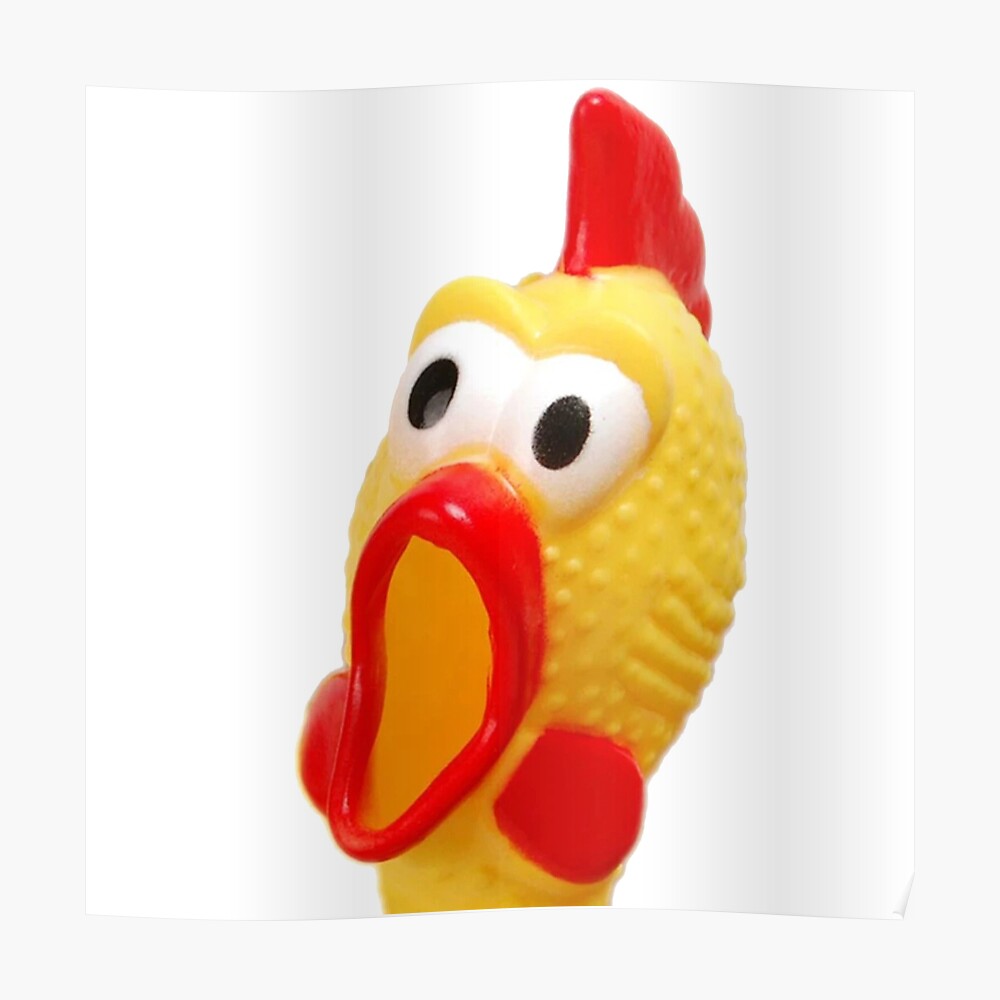 Can YOU Make him Sing? Funny 12 Inch Squealing Rubber Chicken 