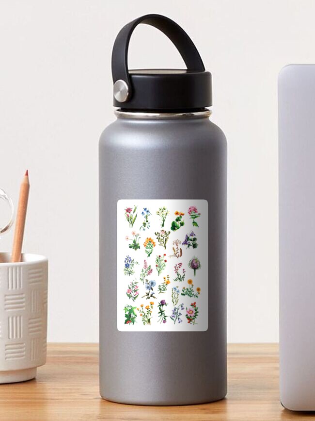 Thumbnail 1 of 3, Sticker, Wildflowers of Britain and Europe Watercolour Painting Watercolor designed and sold by SarahGoughArt.