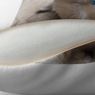 Alternate view of Is there a Westie translator in the house? Throw Pillow