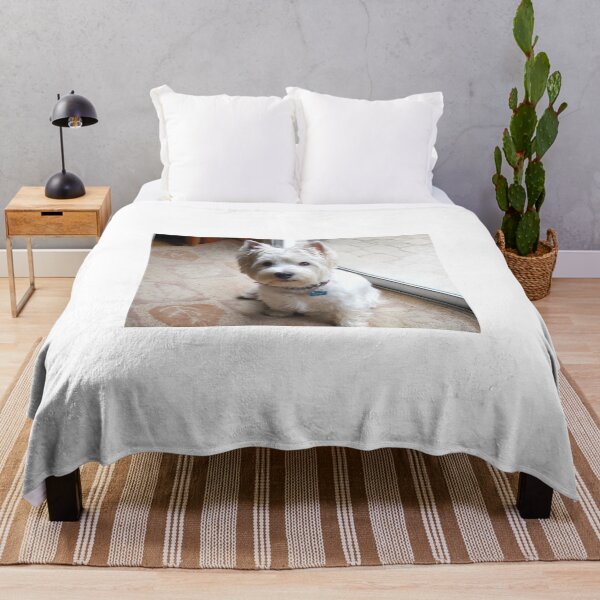 Item preview, Is there a Westie translator in the house? designed and sold by MarianBendeth.