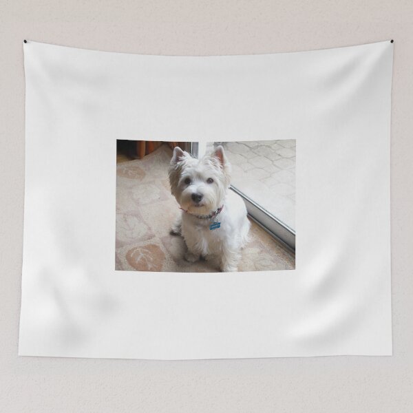 Item preview, Is there a Westie translator in the house? designed and sold by MarianBendeth.