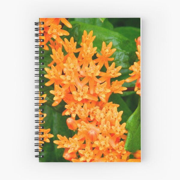 Item preview, Orange Burst designed and sold by Courtney  Cronin.