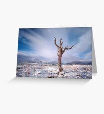 Rannoch moor tree Greeting Card