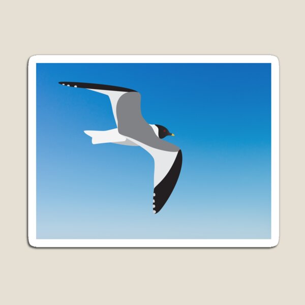 Item preview, Sabine's Gull in flight designed and sold by bigeffinbee.