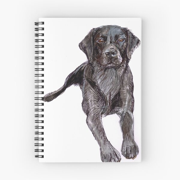 Item preview, Black Labrador lying down designed and sold by RuthSlaterBute.