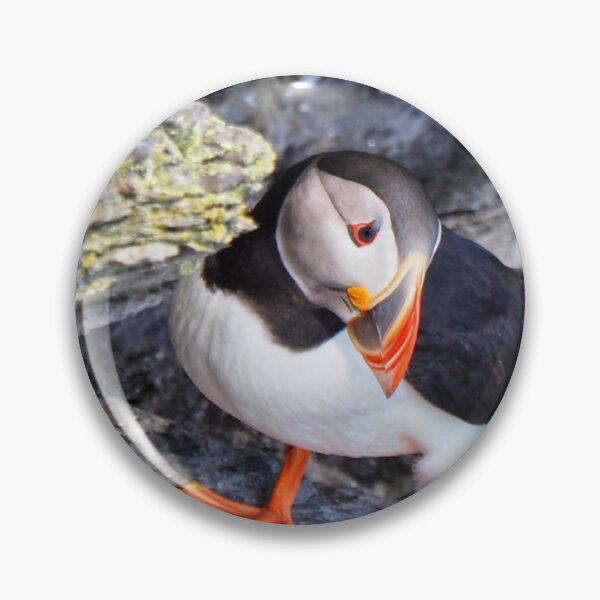 Item preview, Puffin designed and sold by Alan Mackinnon.