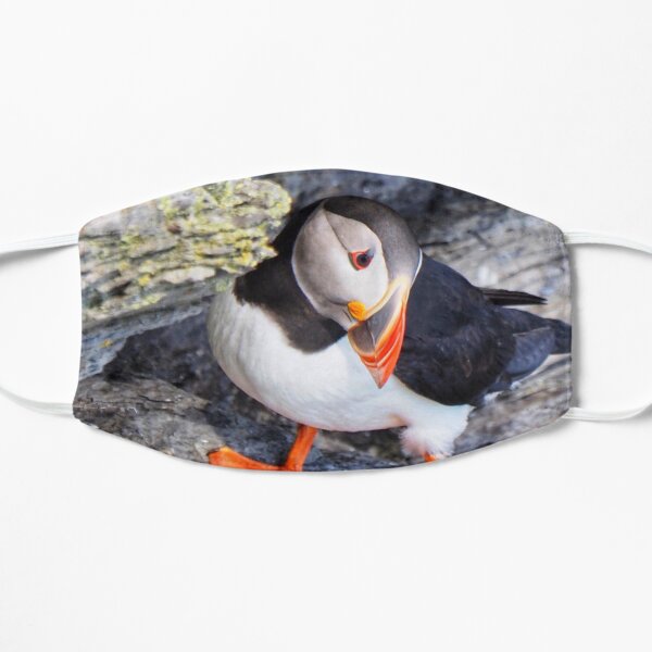 Puffin Mask