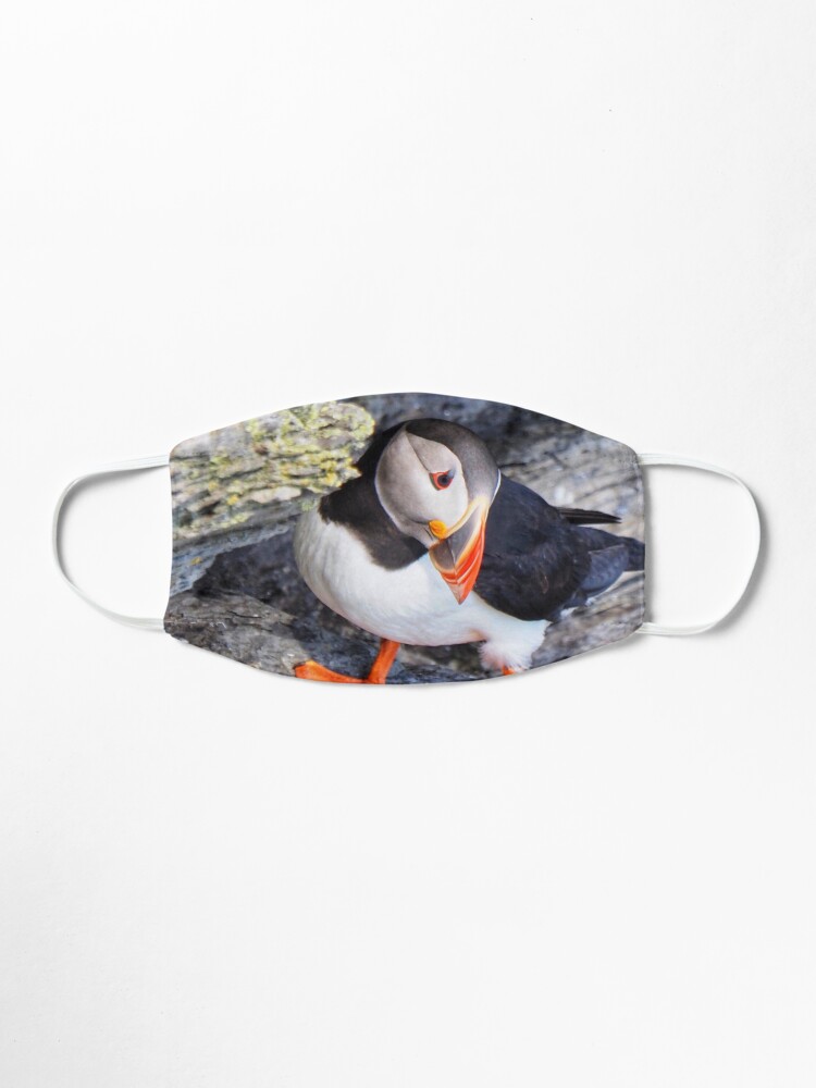 puffin disposable puffin disposable