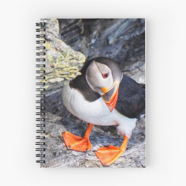 Item preview, Puffin designed and sold by Alan Mackinnon.