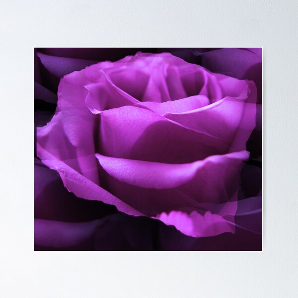 Item preview, PASSIONATE PURPLE designed and sold by Spiritinme.