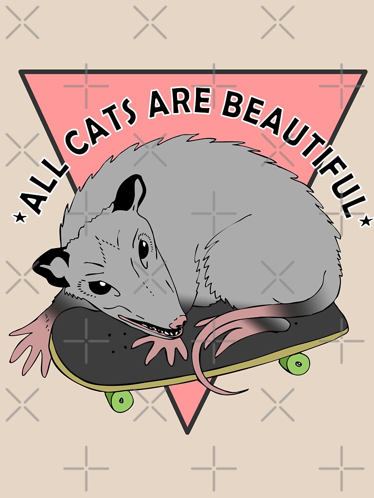 all cats are beautiful | skateboarding opossum by craftordiy