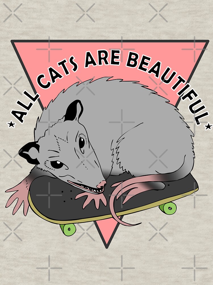all cats are beautiful | skateboarding opossum by craftordiy