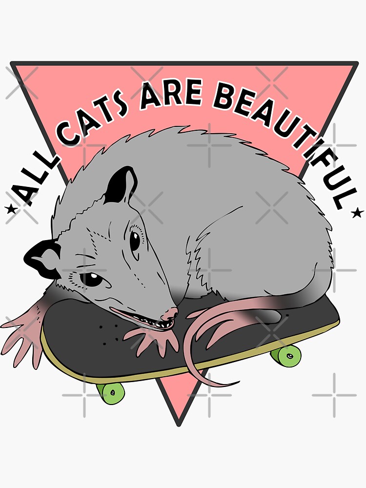 all cats are beautiful | skateboarding opossum by craftordiy