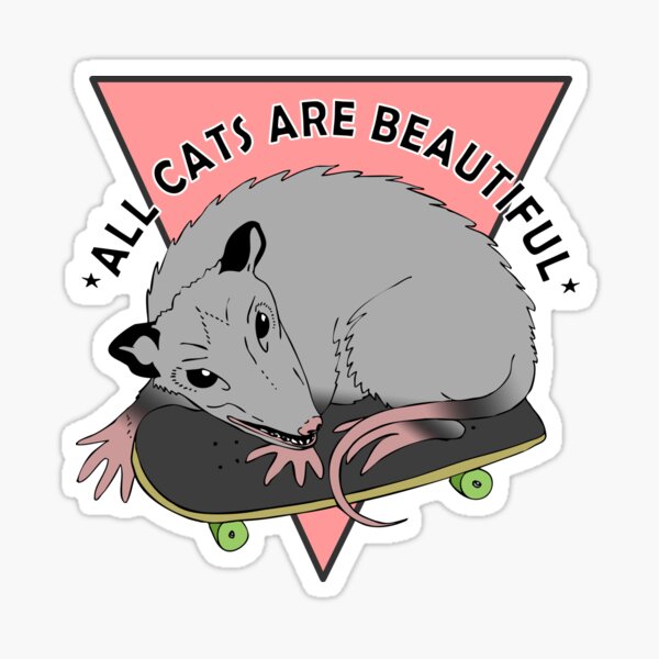 all cats are beautiful | skateboarding opossum Sticker