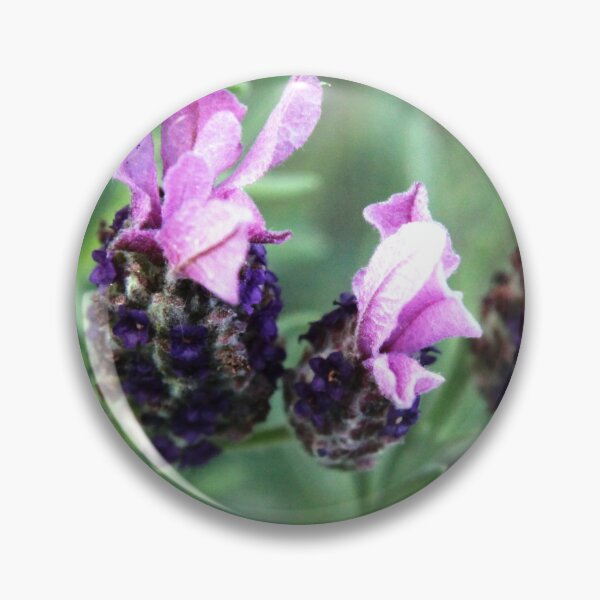 Item preview, Lavender designed and sold by NakedSunday.