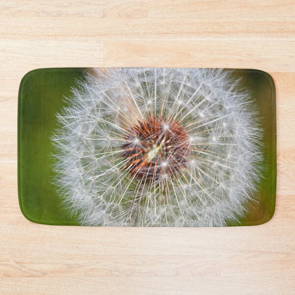 Item preview, The dandelion at Cantick Head Lighthouse on the beautiful Orkney island of Hoy in Scotland designed and sold by Alan Mackinnon.