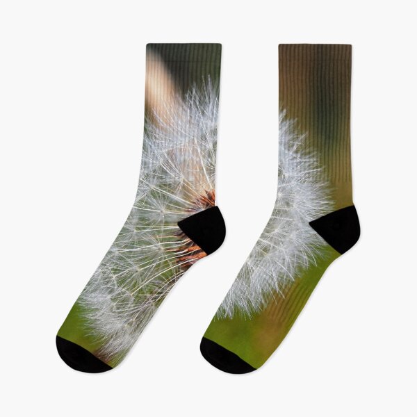 Item preview, The dandelion at Cantick Head Lighthouse on the beautiful Orkney island of Hoy in Scotland designed and sold by Alan Mackinnon.