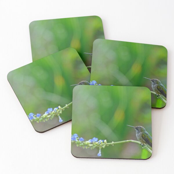 Item preview, Sage Hummingbird designed and sold by InGFocus.