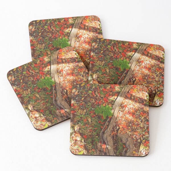 Aperçu de l'œuvre Vue sur les feuilles flamboyantes créée et vendue par tripode.