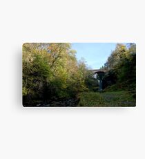 Ashgill Force Canvas Print