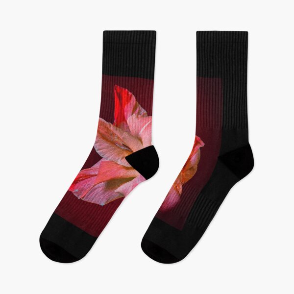 Aperçu de l'œuvre Fleurs de glaïeuls en fleur créée et vendue par Incakola1.
