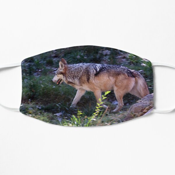 El Lobo Mask