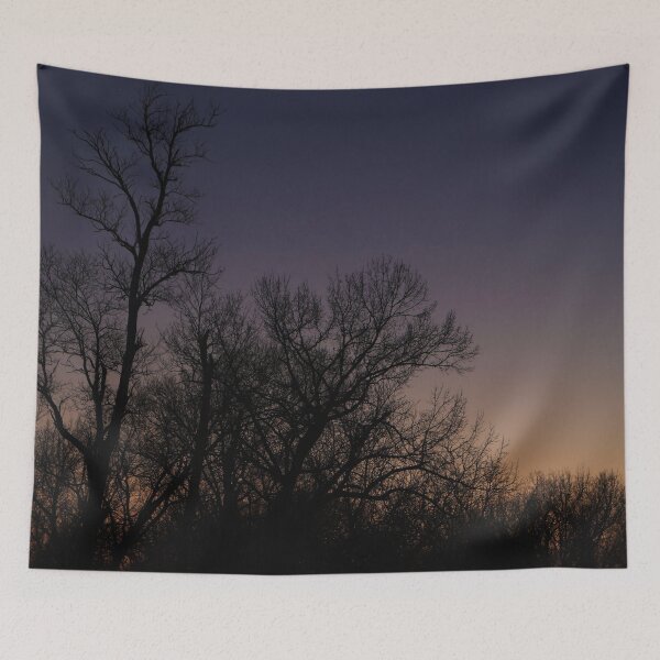 Item preview, Ombre Sky And Winter Trees designed and sold by TJFox.