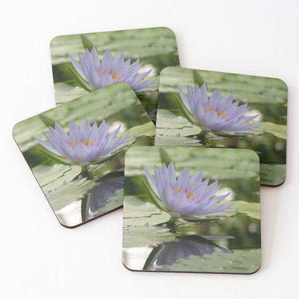 Item preview, Water lily reflections designed and sold by alexiares.