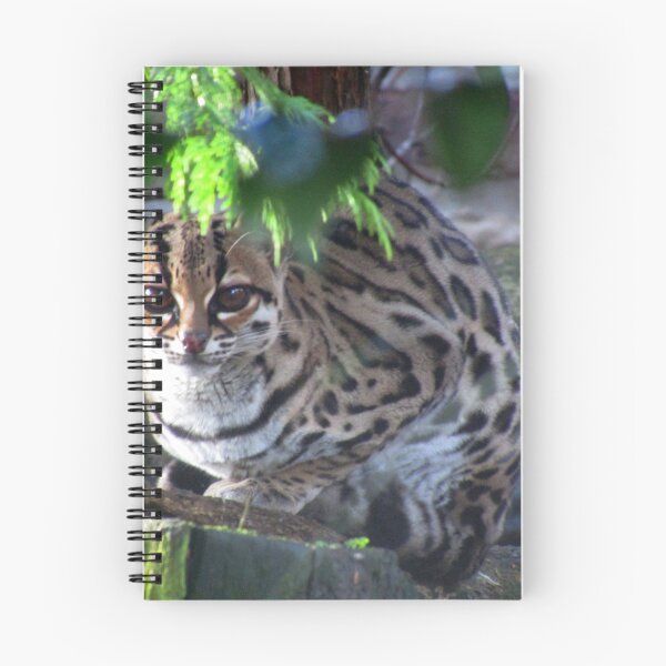 Item preview, Margay designed and sold by Heddychlon1.