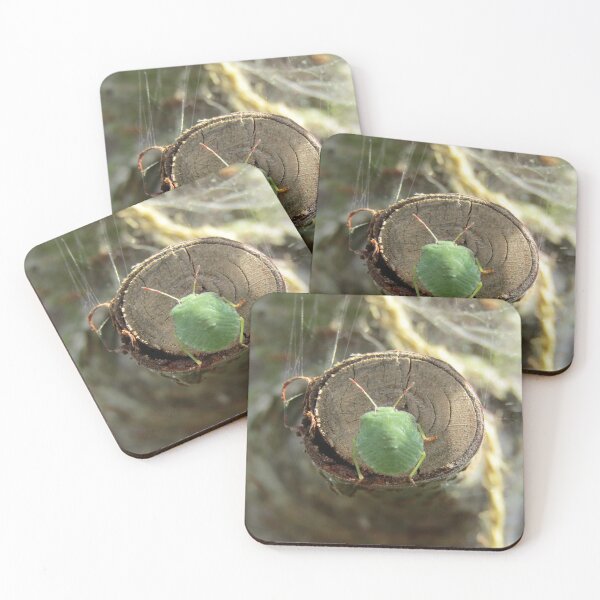 Item preview, Southern Green Shield Bug (Nezara viridula) designed and sold by joshuarainbird.