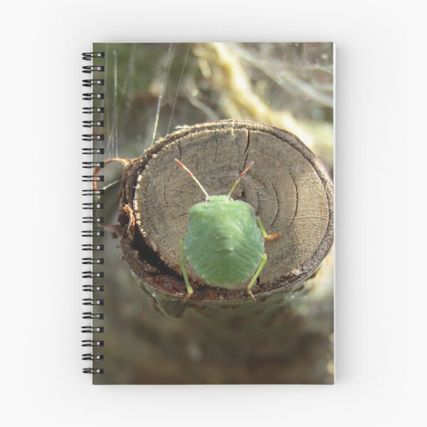 Item preview, Southern Green Shield Bug (Nezara viridula) designed and sold by joshuarainbird.