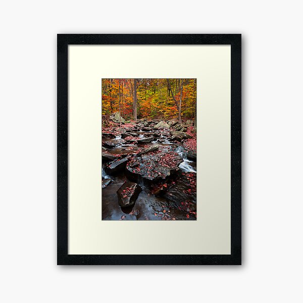 Ricketts Glen Number Four Framed Art Print
