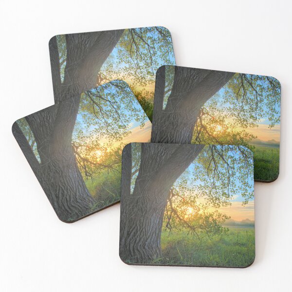 Item preview, Marsh Cottonwood designed and sold by LynyrdSky.