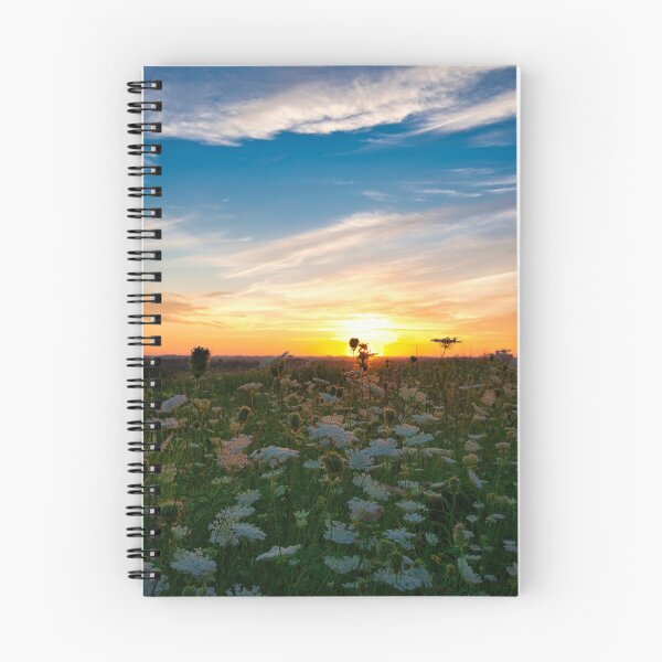 Item preview, Fossil Prairie Park Sunrise 3 designed and sold by LynyrdSky.