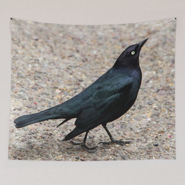 Item preview, Blackbird Beauty  designed and sold by heatherfriedman.