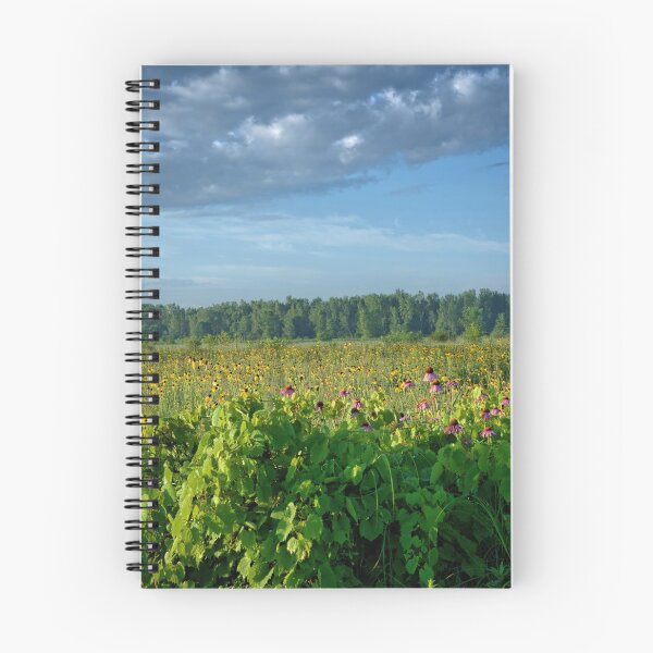Item preview, Marsh Summer Sunrise 2020 4 designed and sold by LynyrdSky.