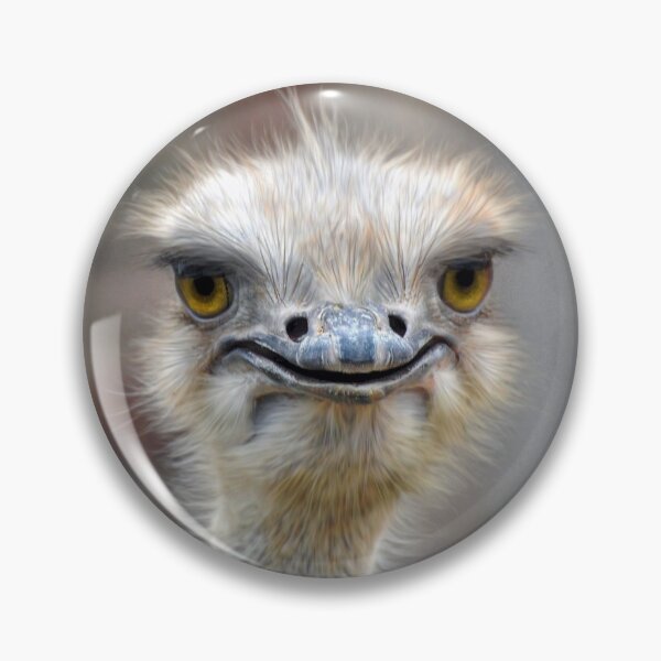 Item preview, Ostrich designed and sold by Savannah Gibbs.