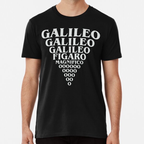 A Queen's lyrics Premium T-Shirt
